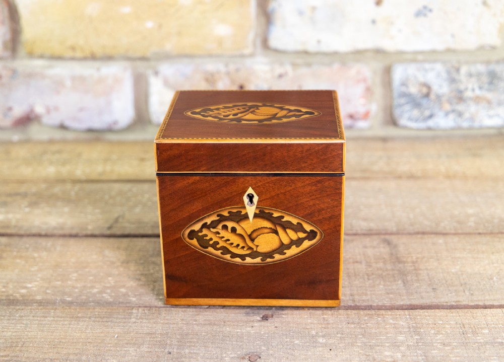 Single Mahogany Georgian Tea Caddy 1800