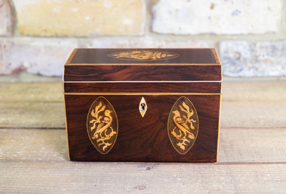 Rosewood Twin Georgian Tea Caddy 1800