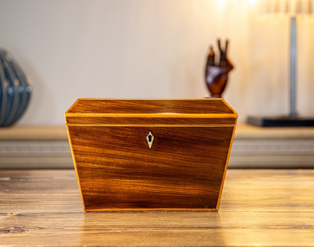 Indian Rosewood Twin Tea Caddy 1850