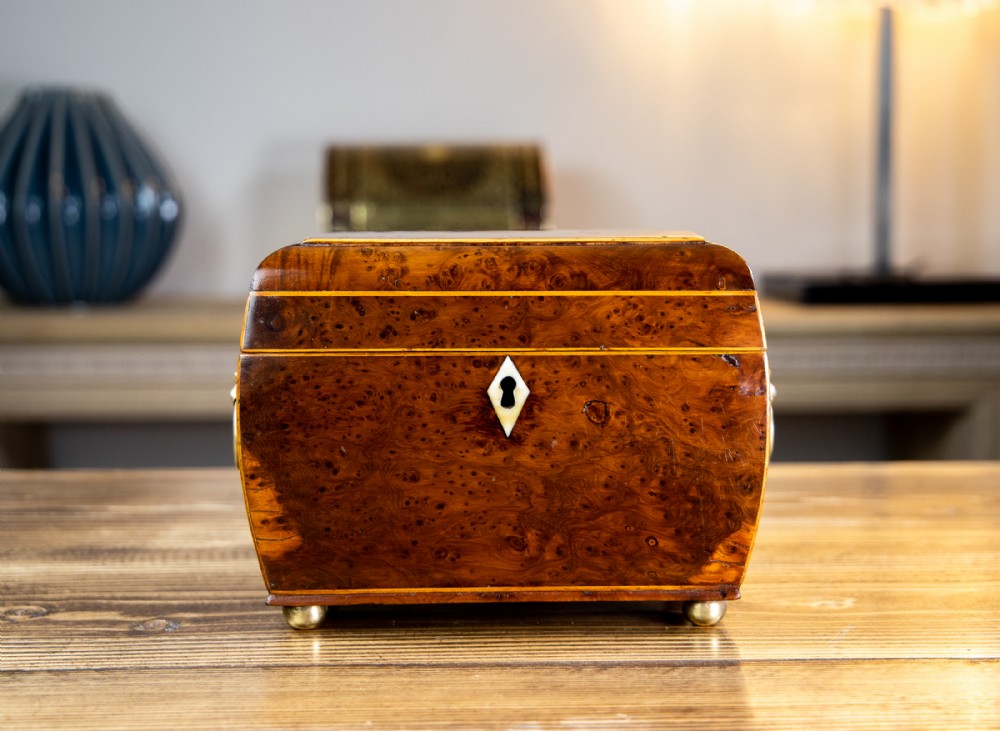Twin Burr Yew Georgian Caddy 1800