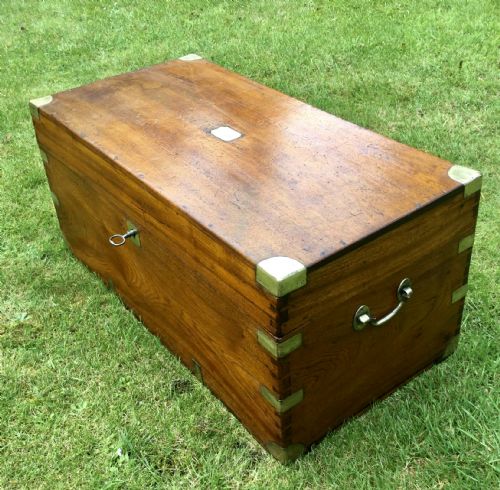 Camphor Trunk