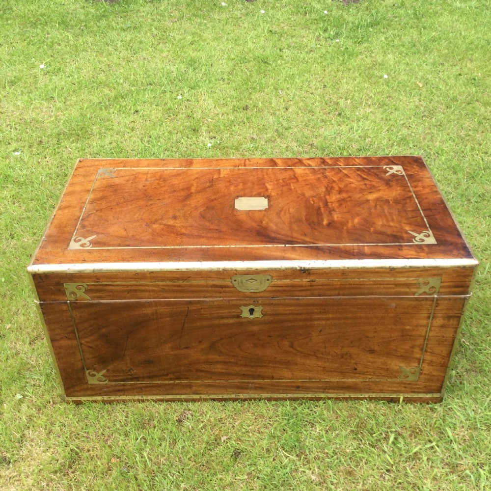 Camphor campaign chest/trunk