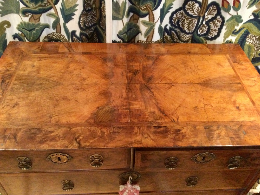 Walnut chest on stand View IX