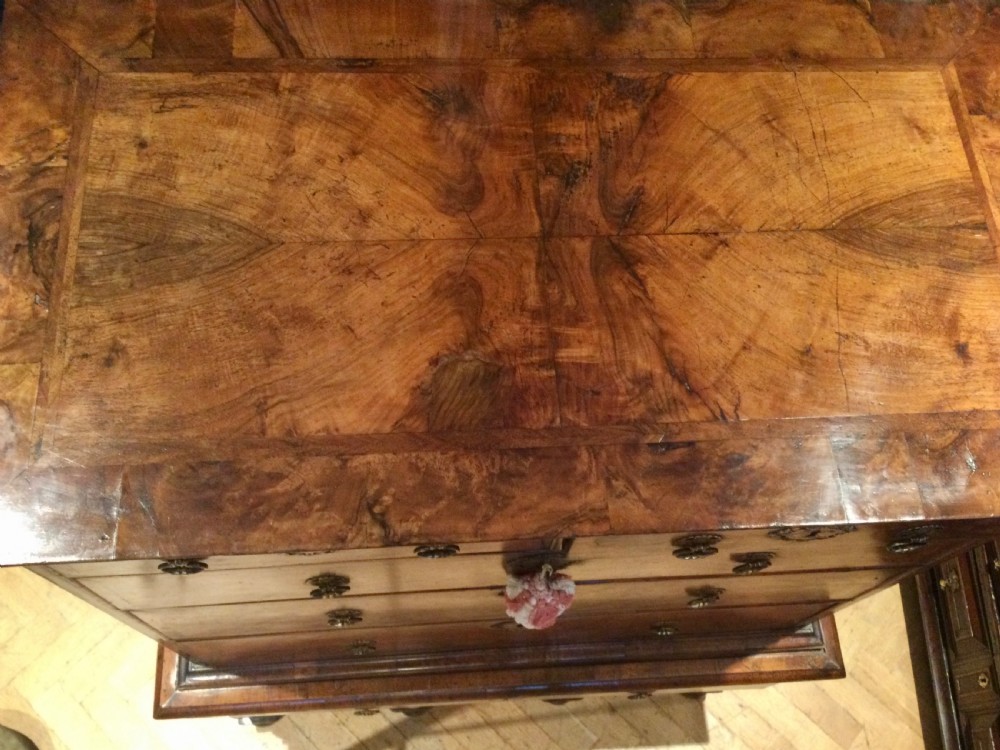Walnut chest on stand View X