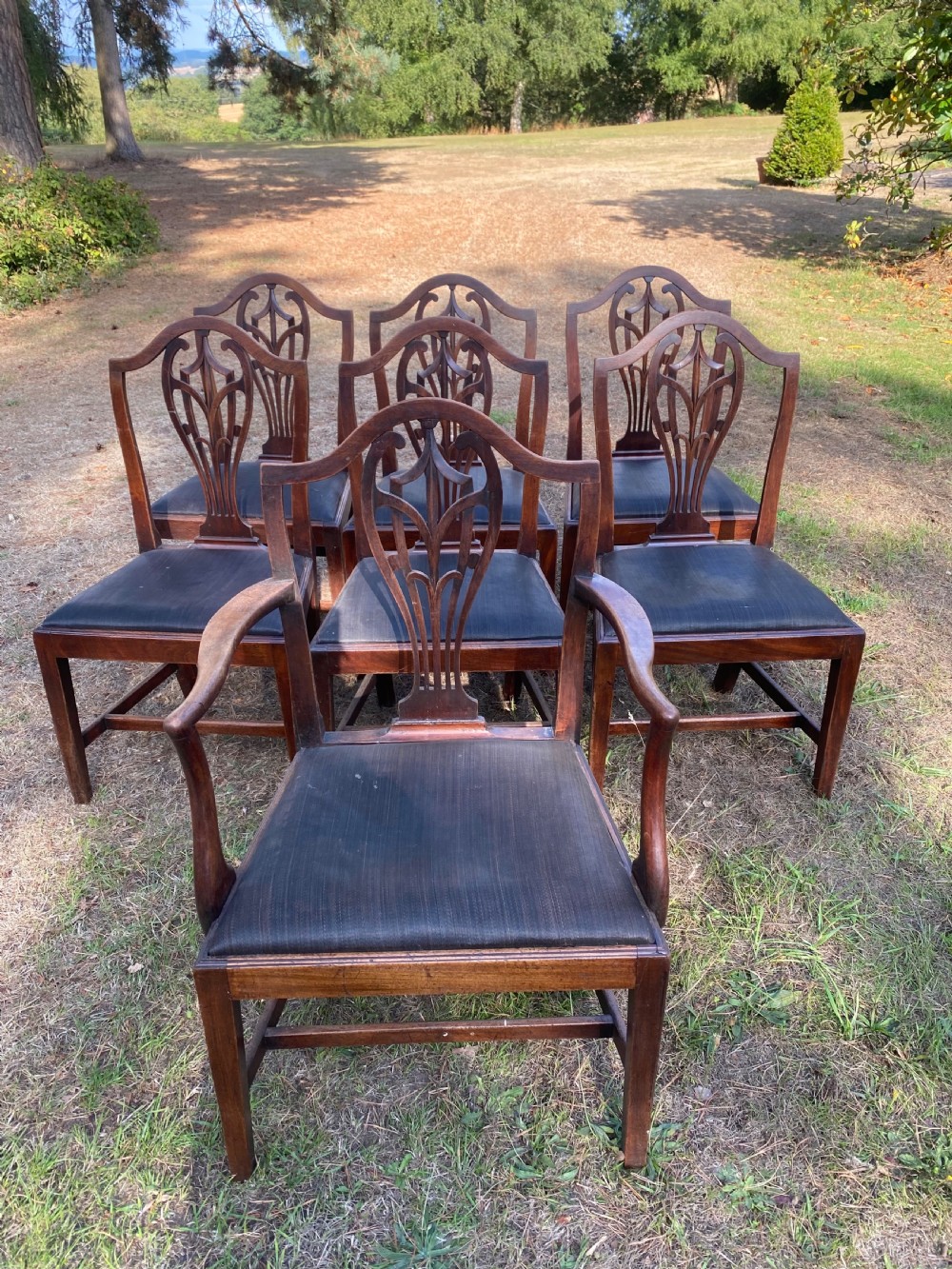 A set of mahogany dining chairs featuring carved openwork back splats, shaped armrests on the carver chairs, and dark fabric upholstered seat pads.