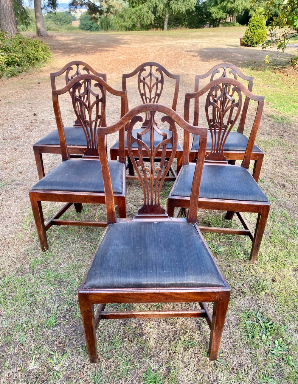 A set of mahogany dining chairs featuring carved openwork back splats, shaped armrests on the carver chairs, and dark fabric upholstered seat pads. View IV