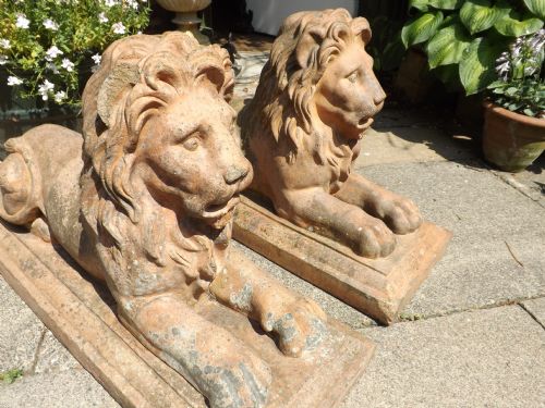 Pair of C19th Terracotta Lions .