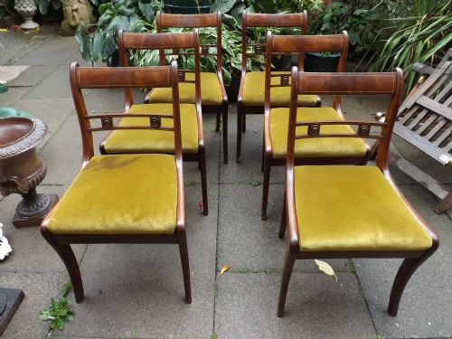 Set of 6 Regency Period Mahogany Dining Chairs.