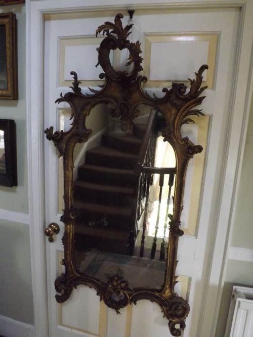 C18th Italian Carved Gilt-wood Framed Rococo-style Mirror of Rococo Design .