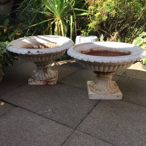 Magnificent Large-scale Pair of Mid C19th Cast-iron Shallow-bowl  Garden or Terrace Vases.