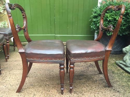 SET OF 6 C19TH WILLIAM IV PERIOD CARVED ROSEWOOD DINING CHAIRS - ADDITIONAL PHOTO 4