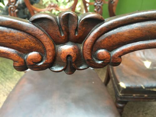 SET OF 6 C19TH WILLIAM IV PERIOD CARVED ROSEWOOD DINING CHAIRS - ADDITIONAL PHOTO 6