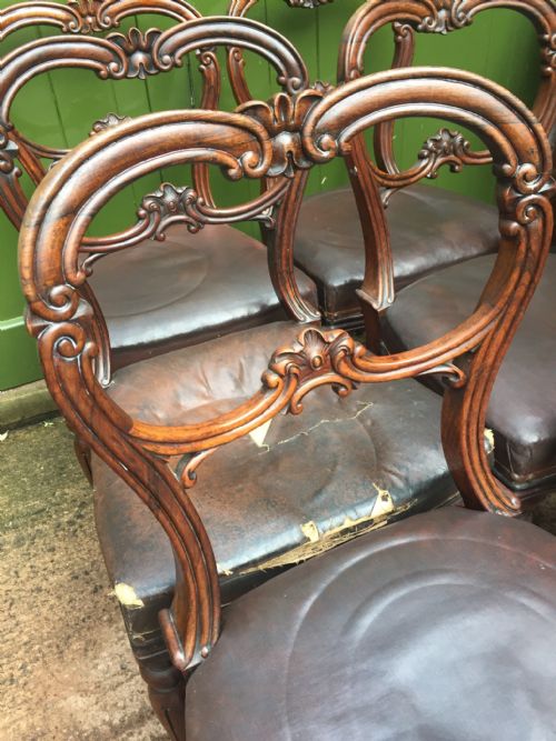 SET OF 6 C19TH WILLIAM IV PERIOD CARVED ROSEWOOD DINING CHAIRS - ADDITIONAL PHOTO 11
