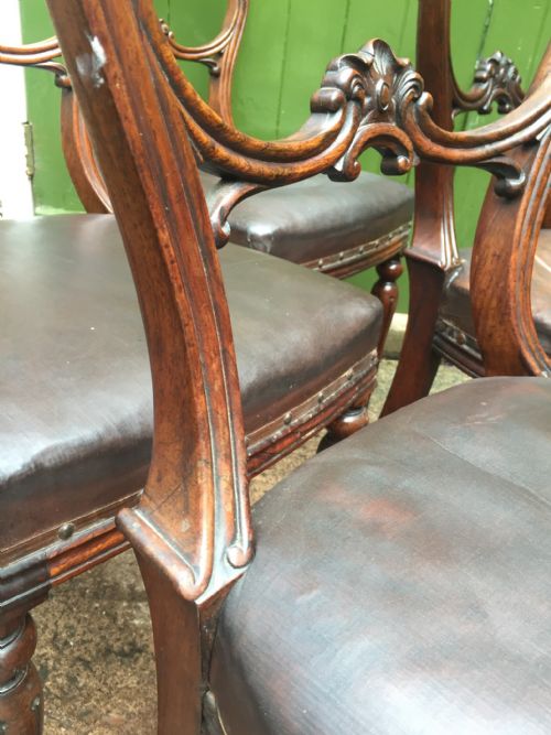 SET OF 6 C19TH WILLIAM IV PERIOD CARVED ROSEWOOD DINING CHAIRS - ADDITIONAL PHOTO 12