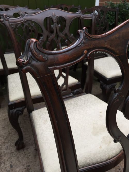 SET OF 10 MIDC19TH CARVED MAHOGANY DINING CHAIRS IN THE CHIPPENDALE STYLE - ADDITIONAL PHOTO 2