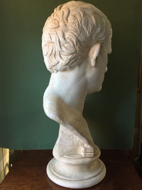 fig 2. Early C20th French plaster library bust of Marcus Vipsanius Agrippa.