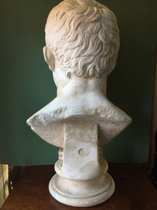 fig 3. Early C20th French plaster library bust of Marcus Vipsanius Agrippa.