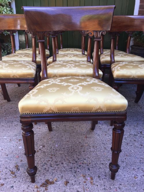 fig 3. Superb set of 10 C19th William IV period mahogany dining chairs .
