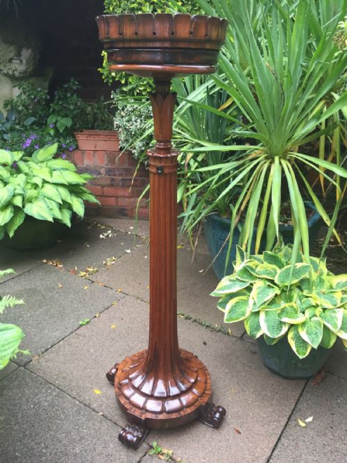 fig 1. Rare early C19th George IV period carved rosewood jardiniere stand or crocus table in the manner of the cabinet-maker Thomas King (1790-1839)