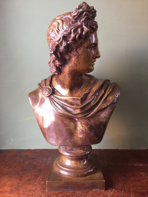 C19th Italian Bronze 'Grand Tour' Souvenir Bust  , After the Antique, of the Apollo Belvedere.