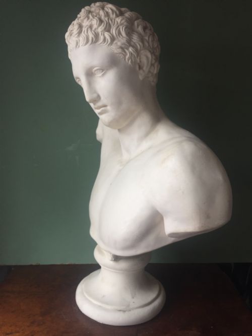 fig 1. Late C19th plaster library bust of the Greek god Hermes.