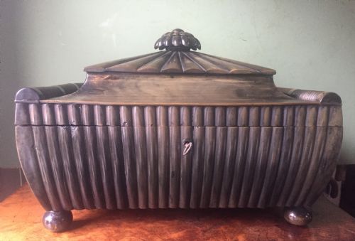 Fine Mid C19th Vizagapatam Indian Buffalo Horn , Sandalwood, Ebony and Ivory Workbox of Sarcophagus Form .