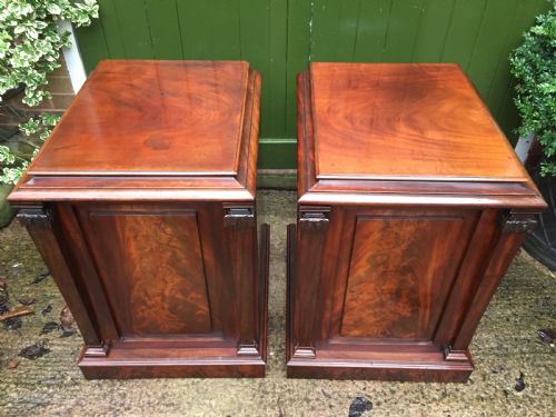 fig 3. Pair of early C19th George IV period mahogany pedestal cupboards .