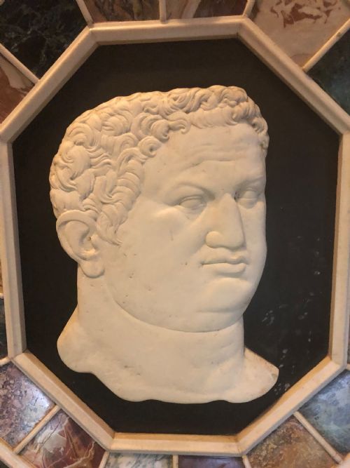 fig 1. Large early C20th Italian ‘Grand Tour’ style carved marble profile in octagonal specimen marble surround frame .