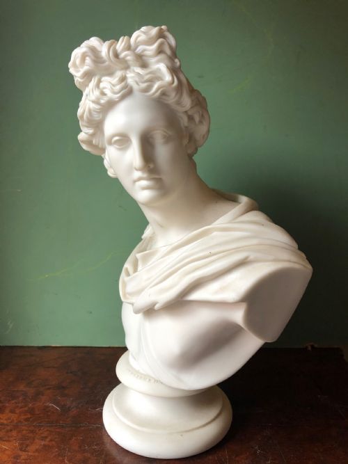 fig 1. C19th parian-ware porcelain bust study of “The Apollo Belvedere “.
