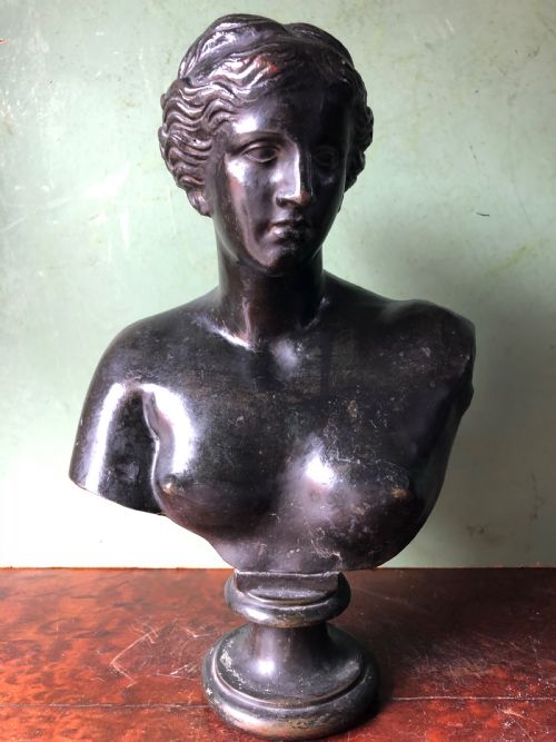 C19th “Grand Tour” Souvenir Bronze Bust Study of  the  “Venus De Milo “ .
