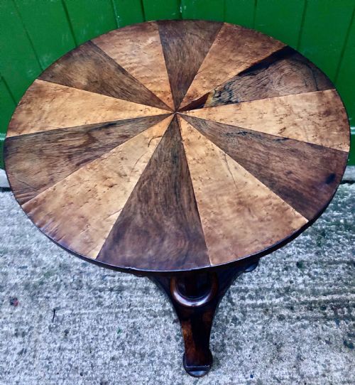 fig 1. Early C19th George IV period rosewood occasional table with segmented rosewood and burr maple top .