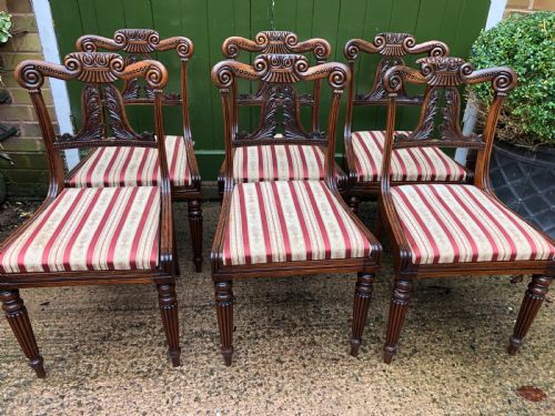 fig 1. Set of 6 early C19th George IV period carved rosewood dining chairs in the manner of Gillows of Lancaster.