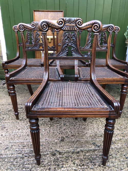 fig 2. Set of 6 early C19th George IV period carved rosewood dining chairs in the manner of Gillows of Lancaster.
