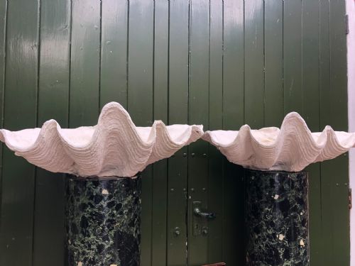 HIGHLY DECORATIVE PAIR OF EARLY C20TH COMPOSITION GIANT CLAM SHELLS OR TRIDACNA GIGANS - ADDITIONAL PHOTO 1