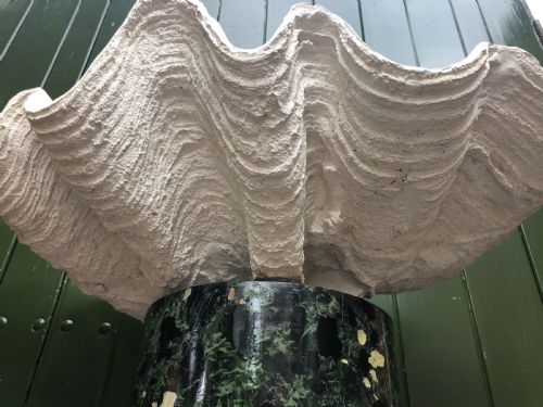 HIGHLY DECORATIVE PAIR OF EARLY C20TH COMPOSITION GIANT CLAM SHELLS OR TRIDACNA GIGANS - ADDITIONAL PHOTO 3