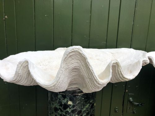 HIGHLY DECORATIVE PAIR OF EARLY C20TH COMPOSITION GIANT CLAM SHELLS OR TRIDACNA GIGANS - ADDITIONAL PHOTO 5