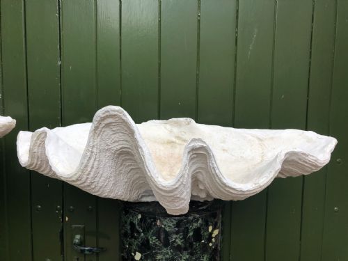 HIGHLY DECORATIVE PAIR OF EARLY C20TH COMPOSITION GIANT CLAM SHELLS OR TRIDACNA GIGANS - ADDITIONAL PHOTO 6