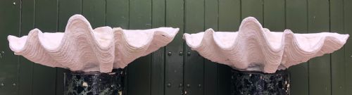 HIGHLY DECORATIVE PAIR OF EARLY C20TH COMPOSITION GIANT CLAM SHELLS OR TRIDACNA GIGANS - ADDITIONAL PHOTO 17
