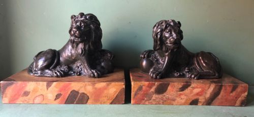 Fine Pair of C18th Italian Bronze Lions Mounted on ‘Faux’ Marble Decorated Plinth Bases .