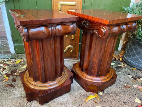 RARE MATCHED PAIR OF EARLY C19TH WILLIAM IV MAHOGANY WASHSTANDS OR BEDSIDE TABLES OF CLASSICAL ARCHITECTURAL FORM - ADDITIONAL PHOTO 12
