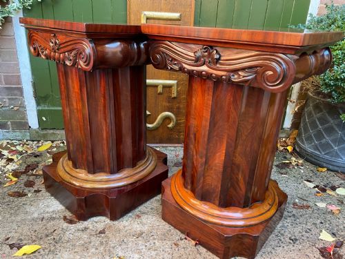 RARE MATCHED PAIR OF EARLY C19TH WILLIAM IV MAHOGANY WASHSTANDS OR BEDSIDE TABLES OF CLASSICAL ARCHITECTURAL FORM - ADDITIONAL PHOTO 22