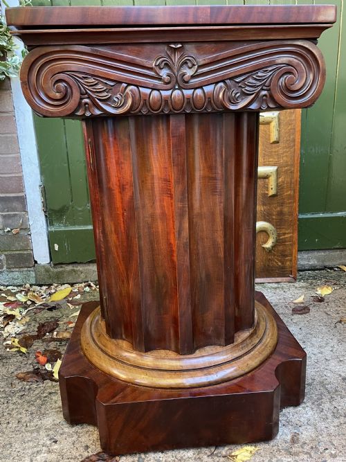 RARE MATCHED PAIR OF EARLY C19TH WILLIAM IV MAHOGANY WASHSTANDS OR BEDSIDE TABLES OF CLASSICAL ARCHITECTURAL FORM - ADDITIONAL PHOTO 4