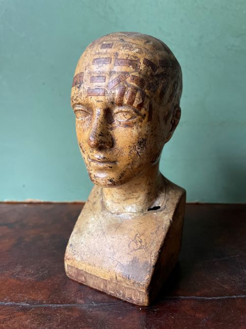 Interesting and Rare C19th Plaster Phrenology Head by A.l Vago .