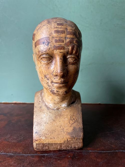 fig 1. Interesting and rare C19th plaster phrenology head by A.L Vago .