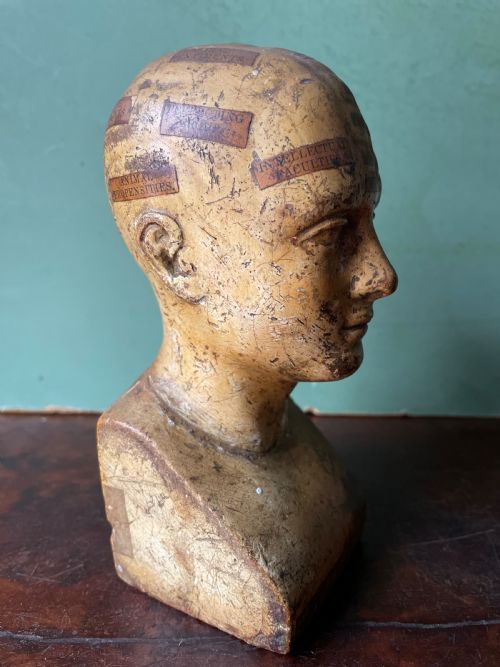 fig 2. Interesting and rare C19th plaster phrenology head by A.L Vago .