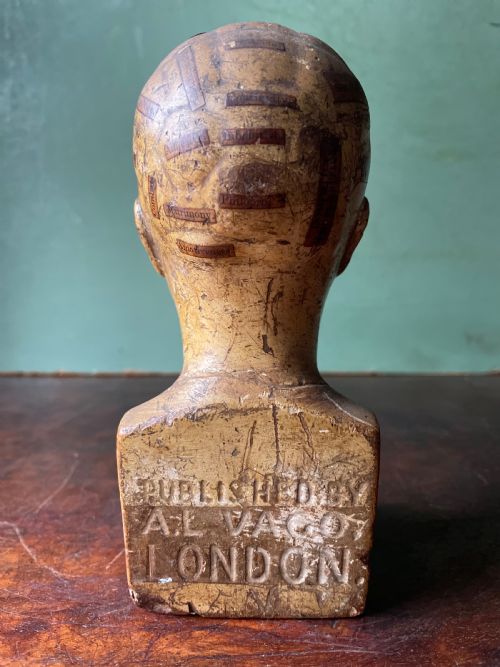 fig 3. Interesting and rare C19th plaster phrenology head by A.L Vago .