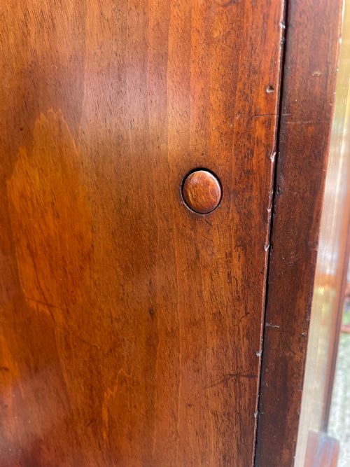EARLY C19TH LATE GEORGIAN PERIOD MAHOGANY PEDESTAL CUPBOARD SCULPTURE STAND - ADDITIONAL PHOTO 7