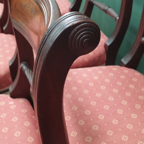fig 2. A set of ten early nineteenth-century mahogany dining chairs featuring tablet top rails, reeded front legs, and patterned pink upholstered seats.