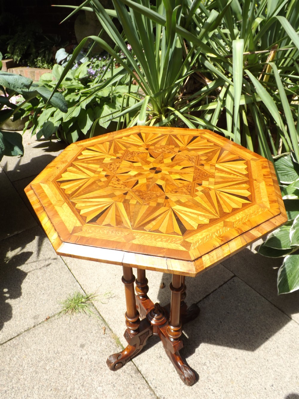 Rare C19th New Zealand specimen-wood top walnut side or lamp table