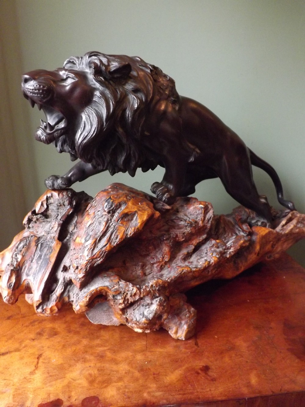 Late C19th Japanese patinated bronze lion study on carved root-wood stand.